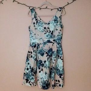 Ixia skater dress